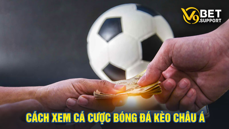 Chi tiết cách xem cá cược bóng đá kèo châu Á