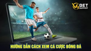 cách xem cá cược bóng đá