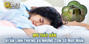 Mo-Thay-Ran-Bi-An-Linh-Thieng-Va-Nhung-Con-So-May-Man