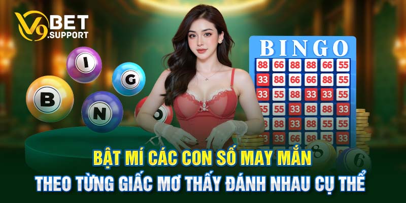 Bật mí các con số may mắn theo từng giấc mơ thấy đánh nhau cụ thể