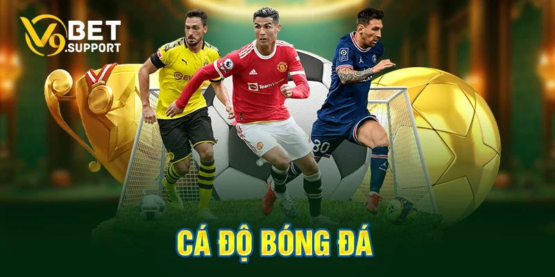 cá độ bóng đá