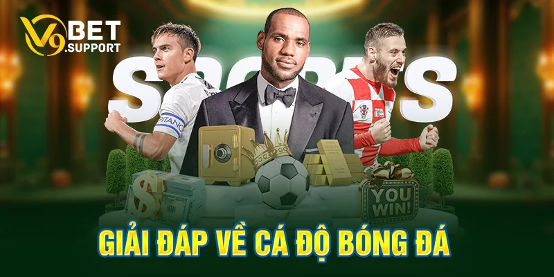 Giải đáp về cá độ bóng đá
